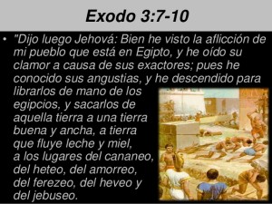 principiosdeliderazgo-cristiano112013-8-638