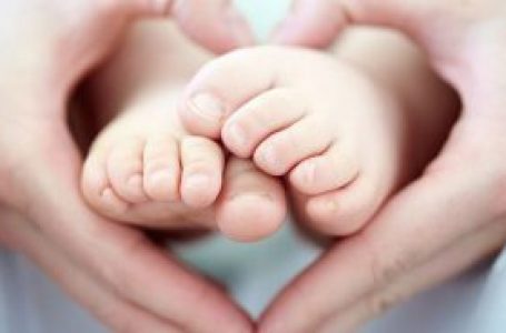 Avanza poyecto de ley en apoyo a cobertura  de seguro para tratamientos de fertilidad