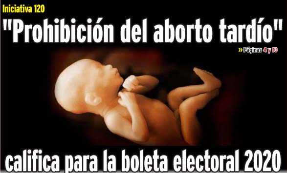 “Prohibición del aborto tardío” califica para la boleta electoral 2020