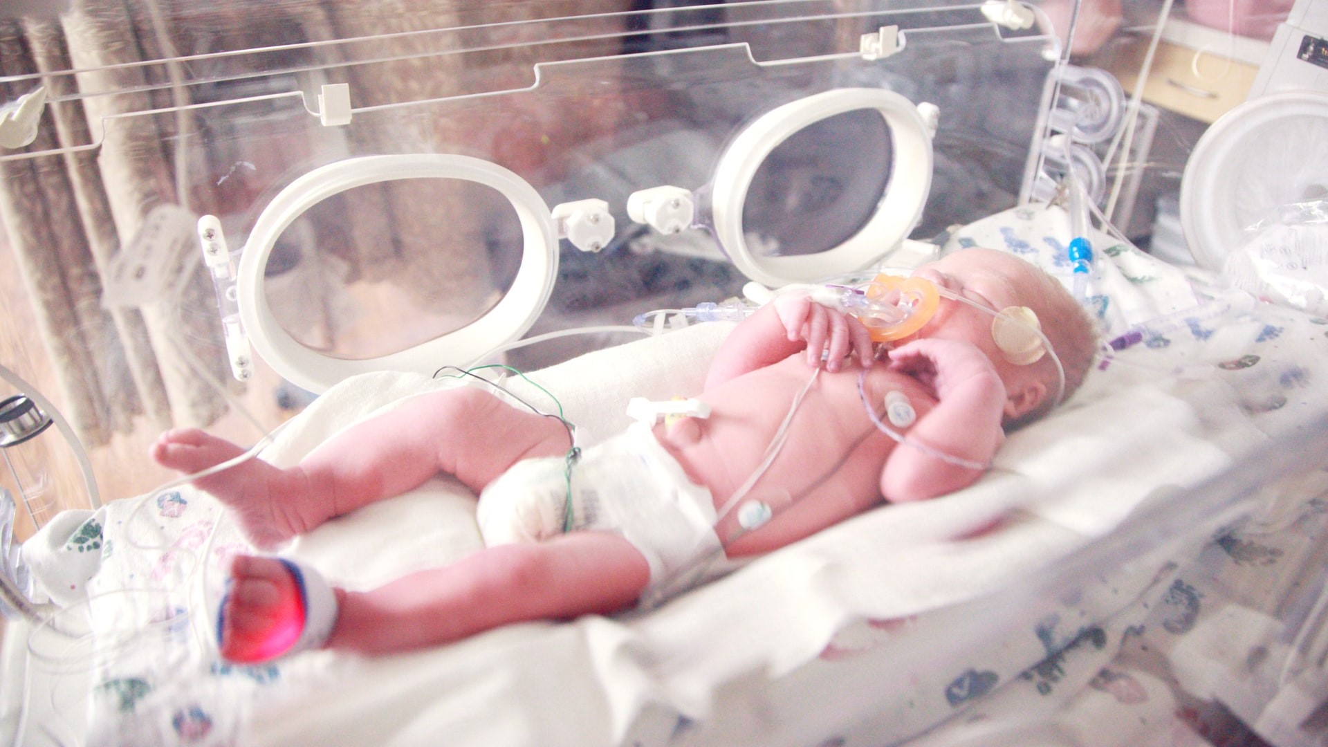 Anuncia orden ejecutiva que protege a los bebés que sobreviven al aborto