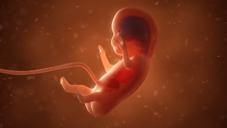 El aborto es una ‘pena de muerte para los no nacidos’: exdirectora de Planned Parenthood expone la mentira del aborto