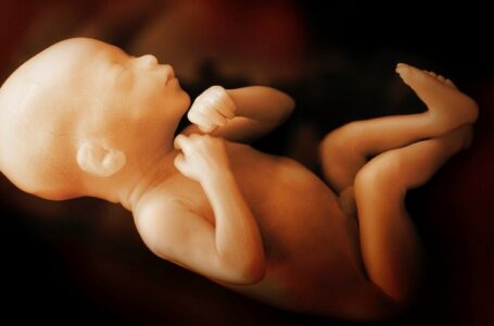 Informes indican que píldora abortiva se usa para matar bebés al final del embarazo